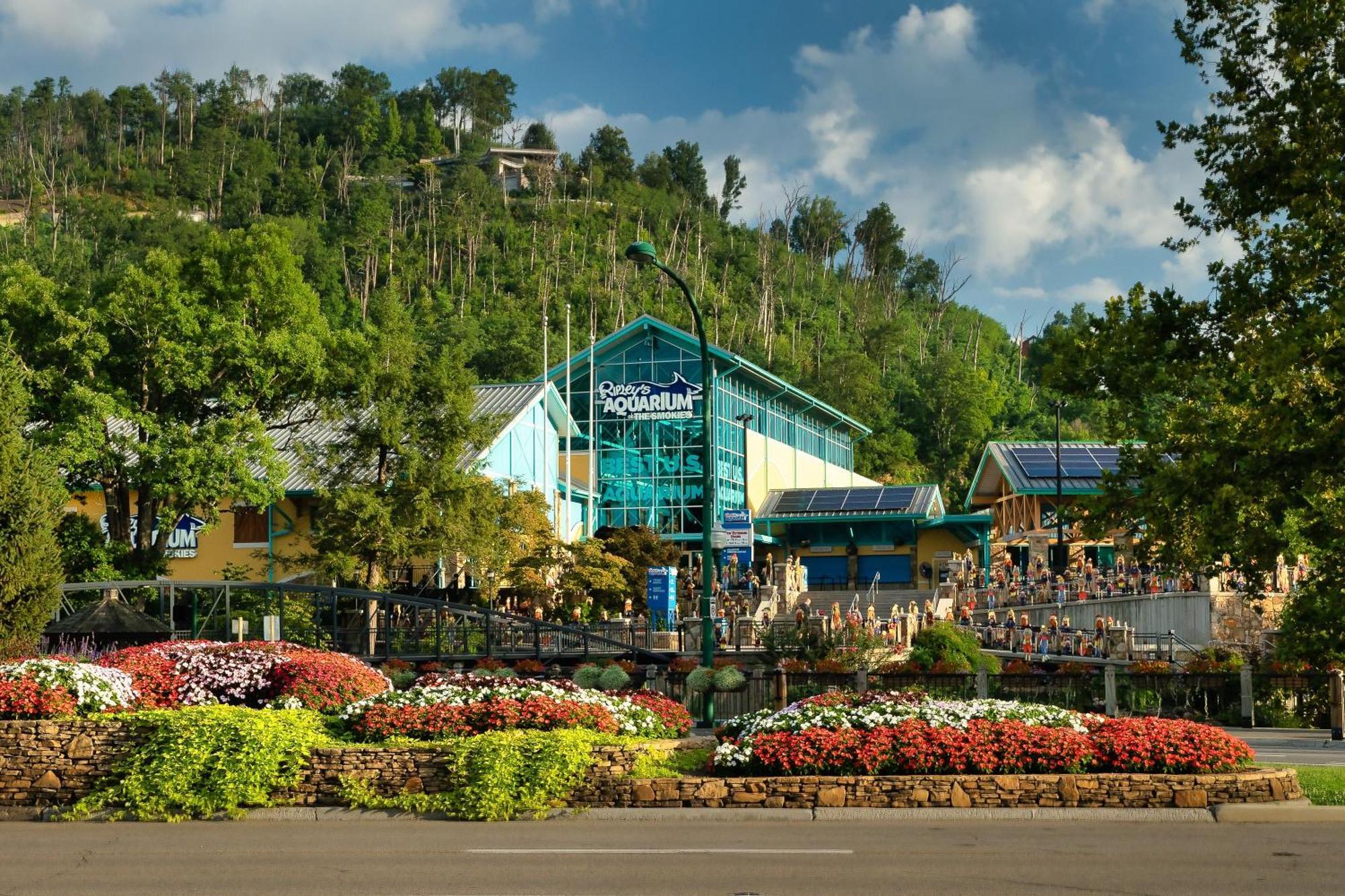 Romance In The Smokies By Distinctive Getaways Vila Gatlinburg Exterior foto